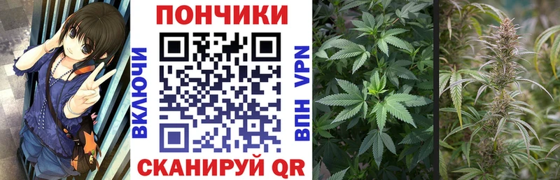 Где найти наркотики Ульяновск COCAIN А ПВП NBOMe Меф ГАШ