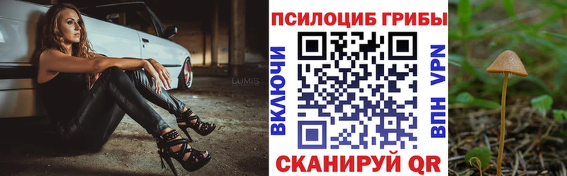 наркотики  darknet состав  Галлюциногенные грибы MAGIC MUSHROOMS  Ульяновск 